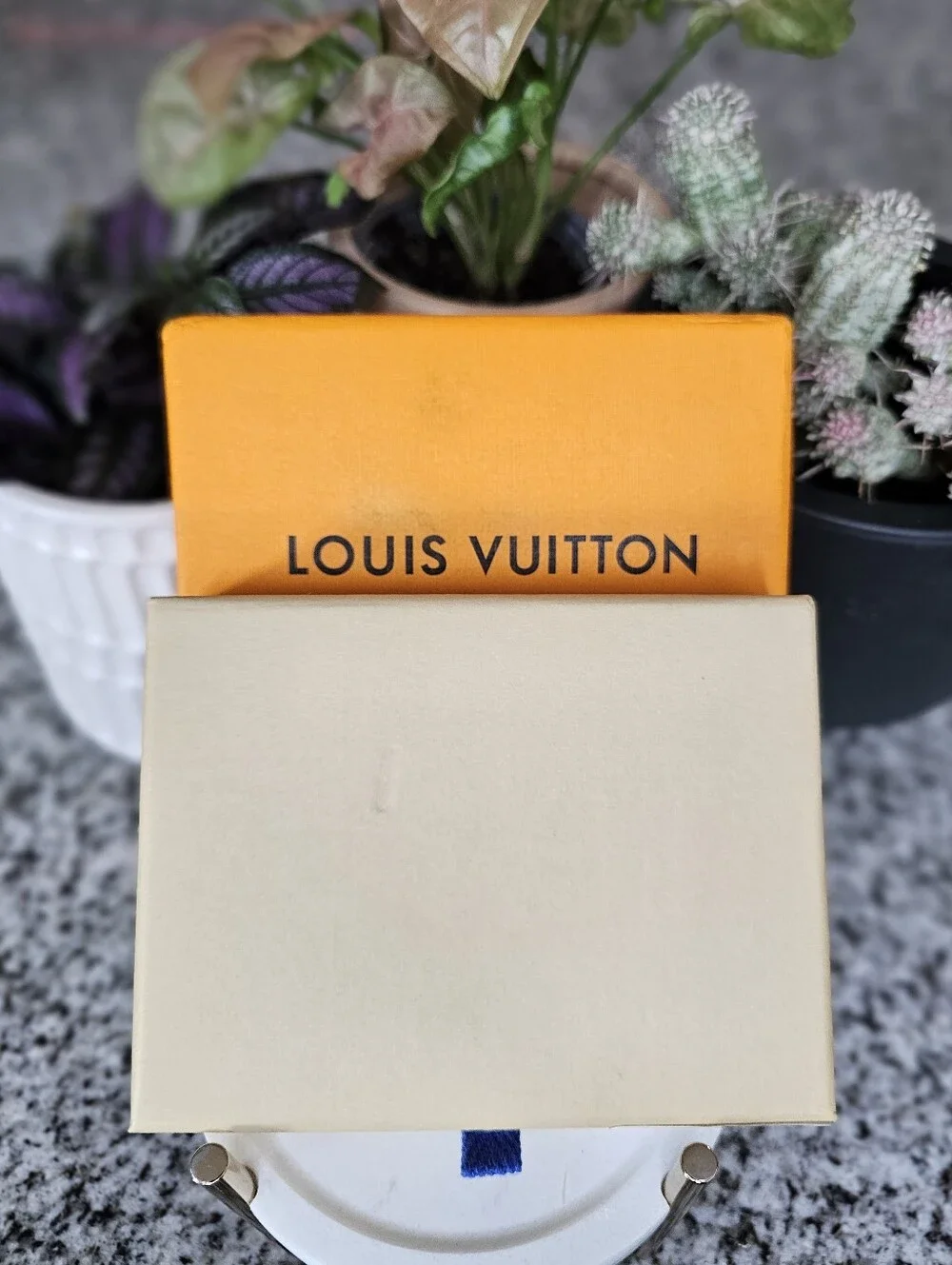 Louis Vuitton louis vuitton